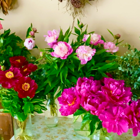 今日は母の日です✧*。の画像