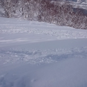 富良野続編動画part１♪の画像