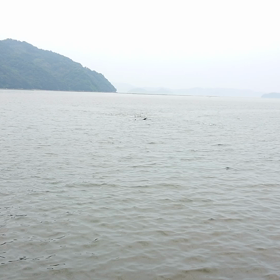 基地桟橋近くでの画像