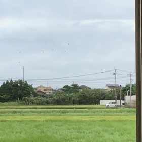台風3号の風の画像