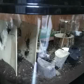 美容室で静かに過ごしたいあなたへ　　　265歩目の画像