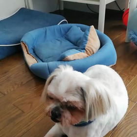 ちちんぷいぷい♪の画像