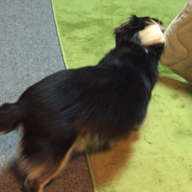 お片づけシリーズ強引編の画像