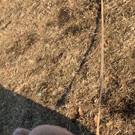 ボール投げの画像