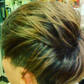 猫の日だけど…の画像