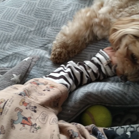 大好きすぎての画像