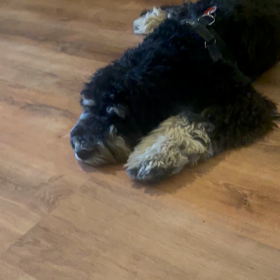 階段下のゴッホ　第4話でドロップの画像