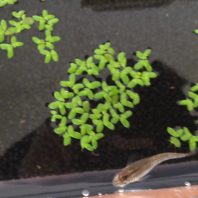 食事の様子の画像