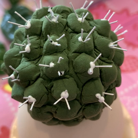 サボテンの画像