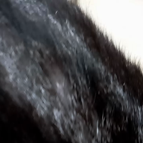 あああ、離れて離れて、、、撮りたいのは貴方、、、の画像