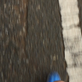 暑い一日の画像