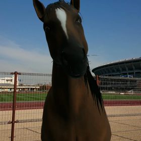 パッかパッカの画像