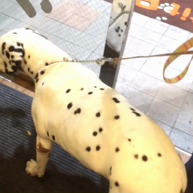 なるちゃん日記★の画像