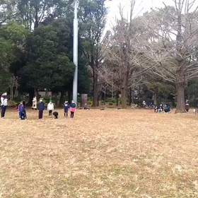 ダッシュ(紺・黄緑グループ)③の画像