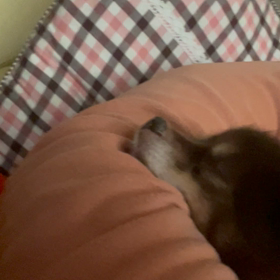 ☆それだけでいいの☆の画像