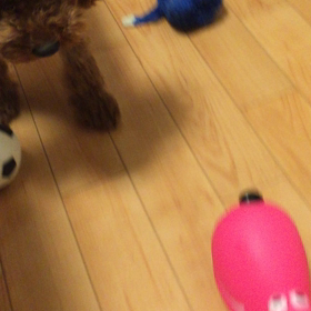 どうしたのかな？の画像