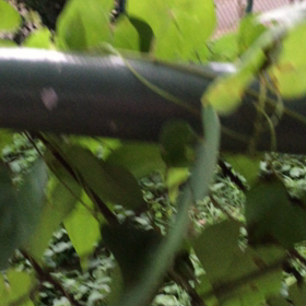 女はお喋りしないと、脳が低下する？の画像