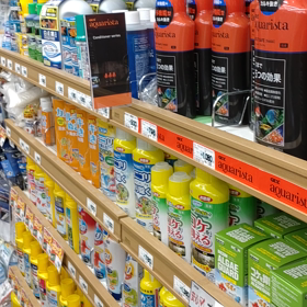 こんにちは☔の画像