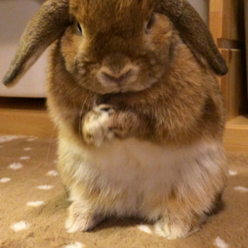 とってもラブラブなのです♡の画像