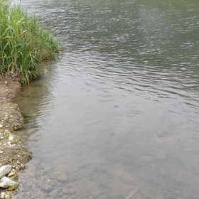 ２　　負けられない戦い（慢性心不全編）の画像