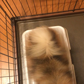 あんまりソワソワしないで♬の画像