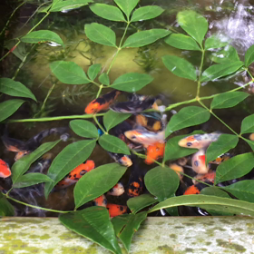 一斉ワーク 沢山のお申込みありがとうございました♡22時より開始させていただきます♡の画像