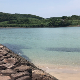 《梅雨の晴れ間に♪》の画像