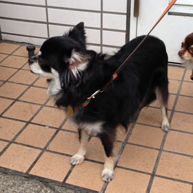 あっちぃ〜（≧∇≦）の画像