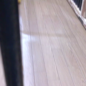 仔犬のかわいさ、懐かしさの画像