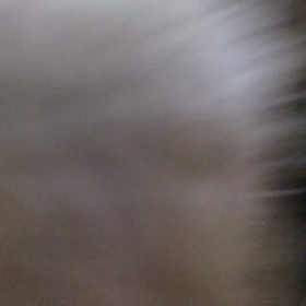 ママ恋しいの画像