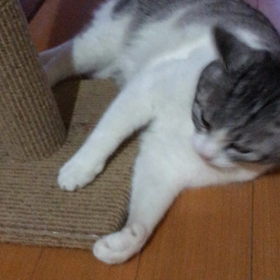 いつも、そばにいてくれてありがとね❣の画像