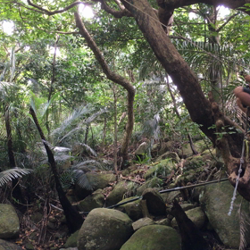 ターザン？  動画の画像