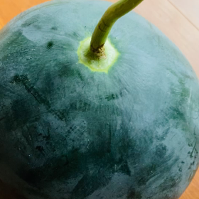 介護記録１４７「ごめん、Part 1、2、3、4）の画像