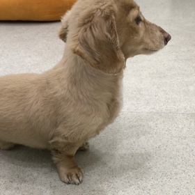 ♪プレイルーム動画♪の画像