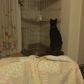 食い意地のはったお方の画像