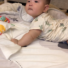 しなぷしゅ。の画像