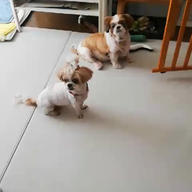 おさんぽの画像