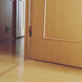 さあ〜出発の画像