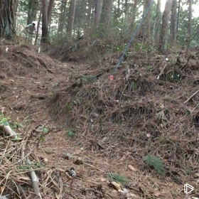 ホームコースの画像