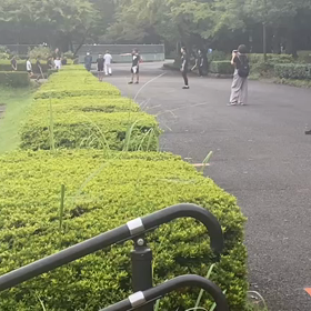 リレー選考会　中間地点③の画像