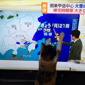 激しい天気予報が大好きの画像