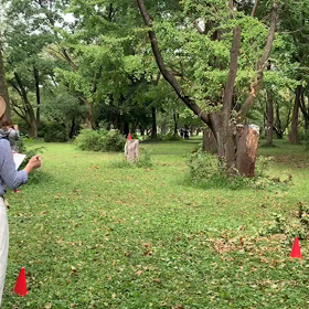400mインターバル⑫の画像