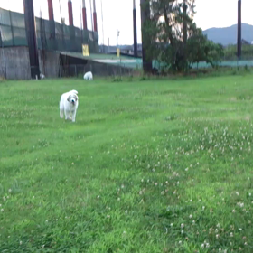 どうしたの画像