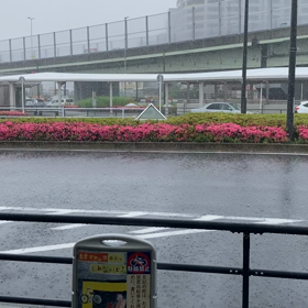 今日はお出かけの画像