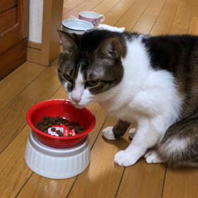 ヌード写真の行方…LINEを信用しない友達に…私も信用出来ないにゃ！の画像