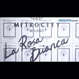 あーさん動画の画像