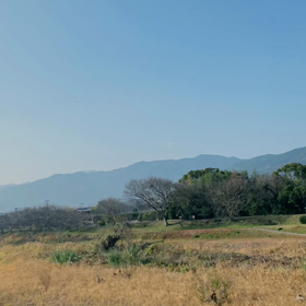 「フランス的」を探す。の画像