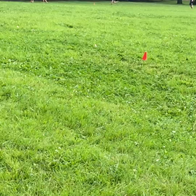 1000m ２組目④の画像