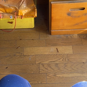 ちょーおーの画像