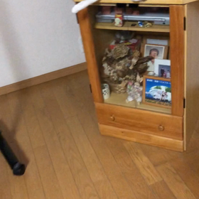 やっと夏！フラダンスでハナレムーン…デールちゃんフロントライン動画！の画像